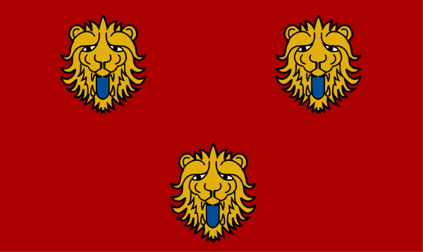 Grote vlag Staden