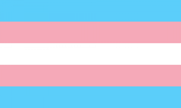 Vlag Transgender 100x150cm