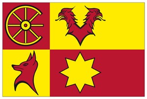 Vlag Nieuwkoop 50x75cm Nieuwkoopse bootvlag