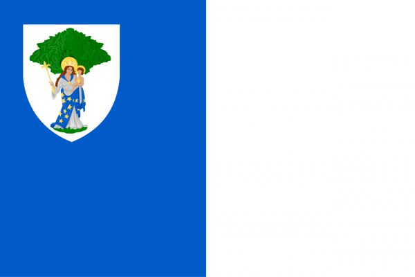 Vlag Boom