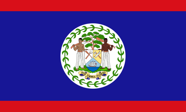 Vlag Belize 70x100cm