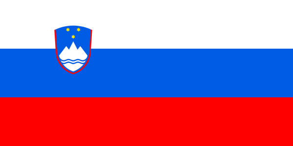 Vlag Slovenië 70x100cm