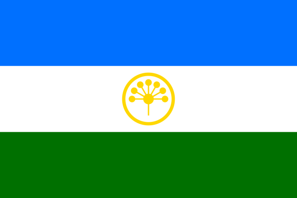 Vlag Bashkirostan 70x100cm