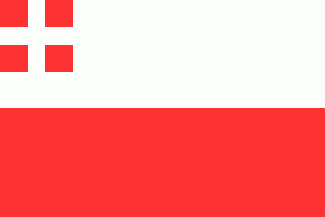 Utrechtse 70x100cm vlag