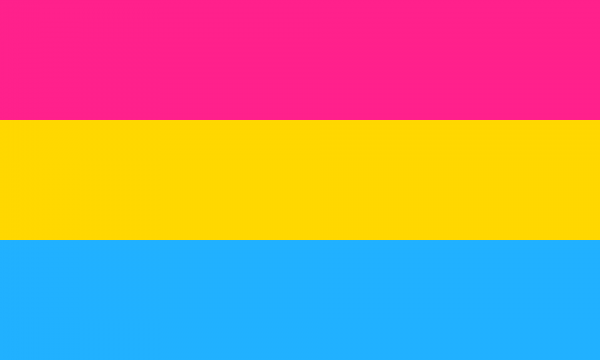 Vlag Pansexualiteit 120x180cm