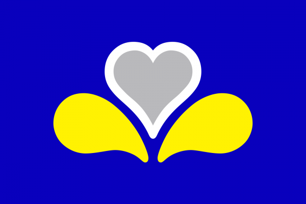 Grote vlag Brussel (HG)