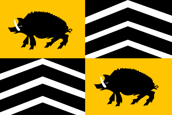 Grote vlag Vorselaar