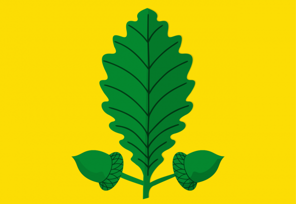 Grote vlag Heusden-Zolder