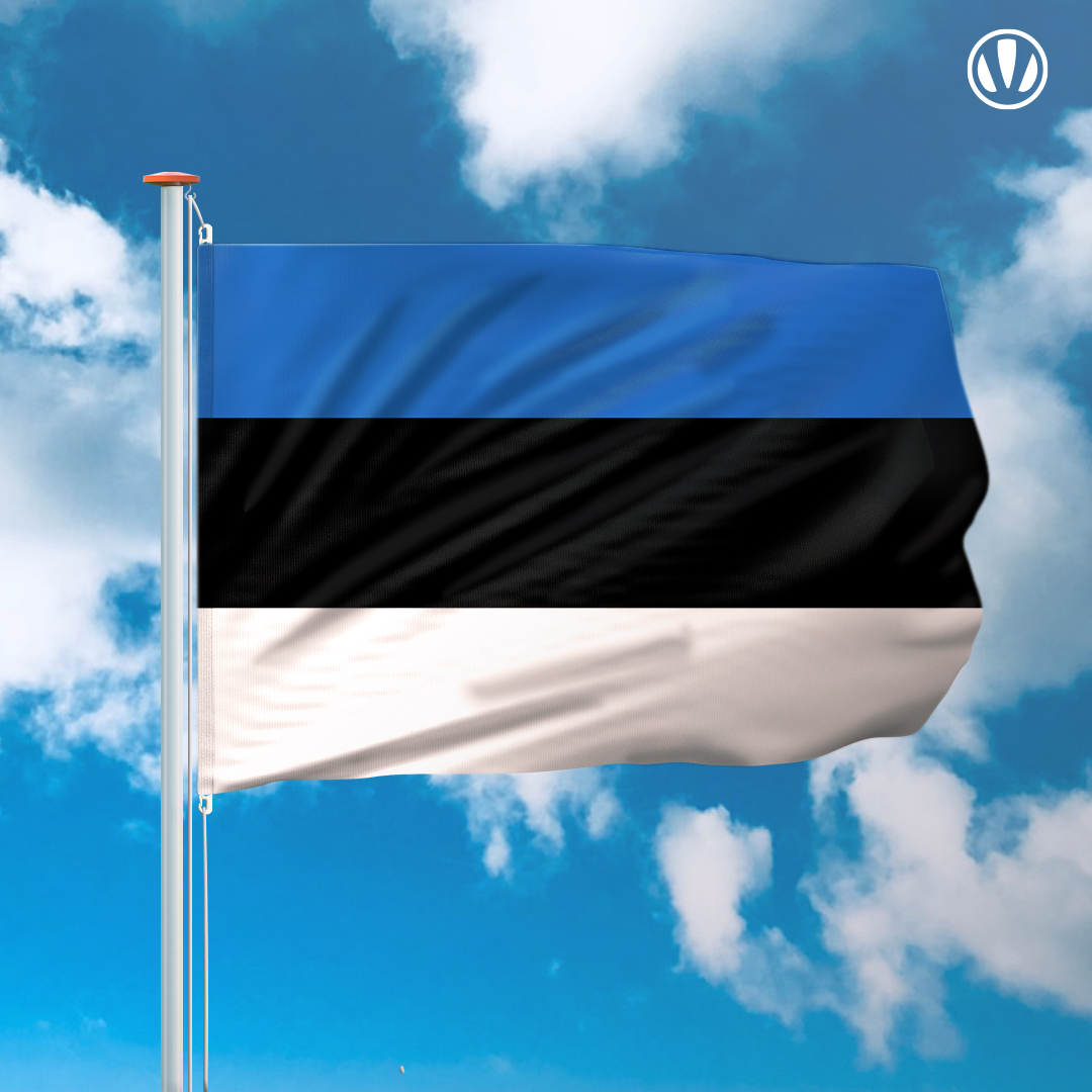 Vlag Estland