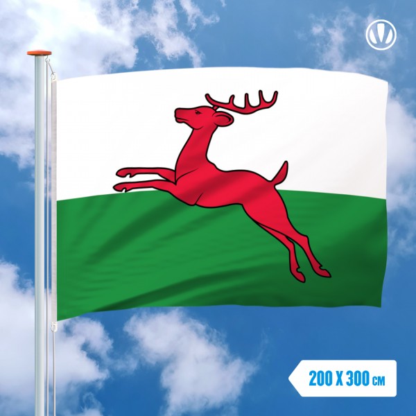 Grote Mastvlag Smallingerland