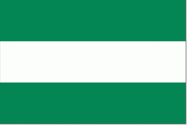 Vlag gemeente Rotterdam | Rotterdamse vlaggen 150x225cm