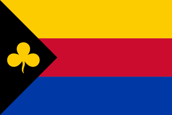 Vlag Delfzijl 70x100cm