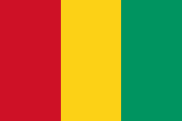 Vlag Guinee 70x100cm