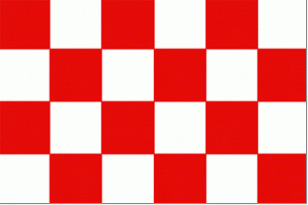 Start vlag 100x150cm startvlag