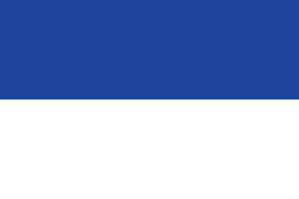 Vlag Assen 50x75cm 