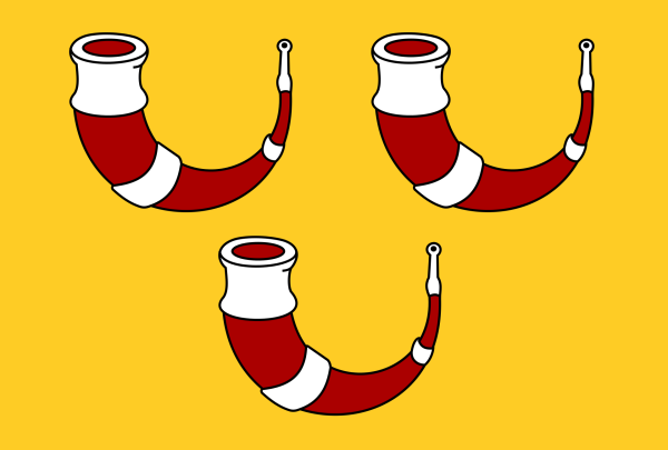 Vlag Kinrooi 120x180cm