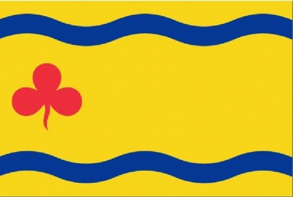 Vlag Gemeente Hardenberg 30x45cm