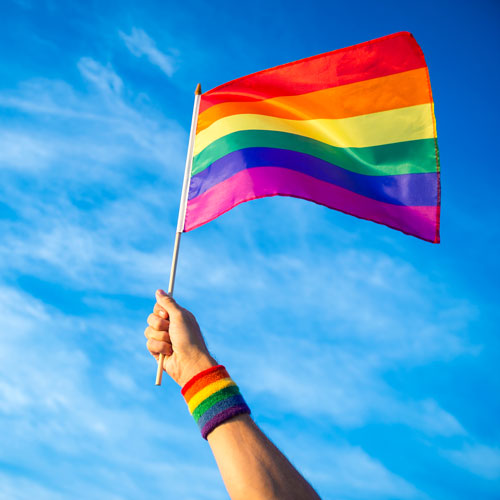 Regenboog vlag
