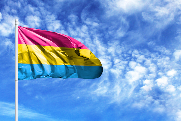 Pansexual flag