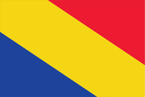 Vlag Rheden vlaggen 50x75cm voordelig kopen bij