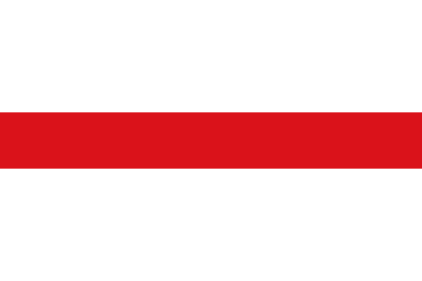 Vlag Dendermonde 120x180cm