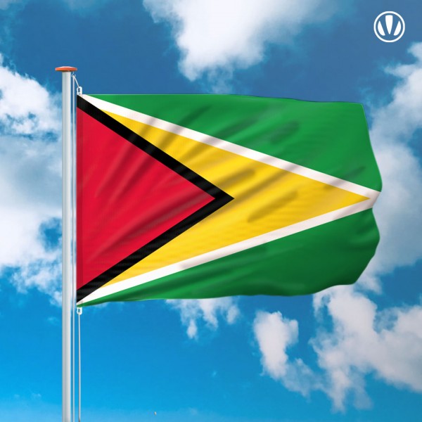 Mastvlag Guyana