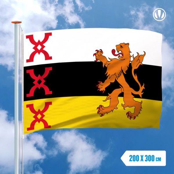 Grote Mastvlag Someren