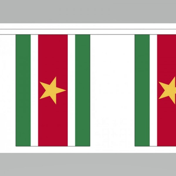 Surinaamse vlaggenlijn slinger 3 meter lang