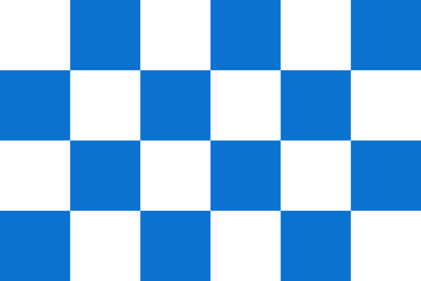 Vlag Dalfsen 70x100cm,
