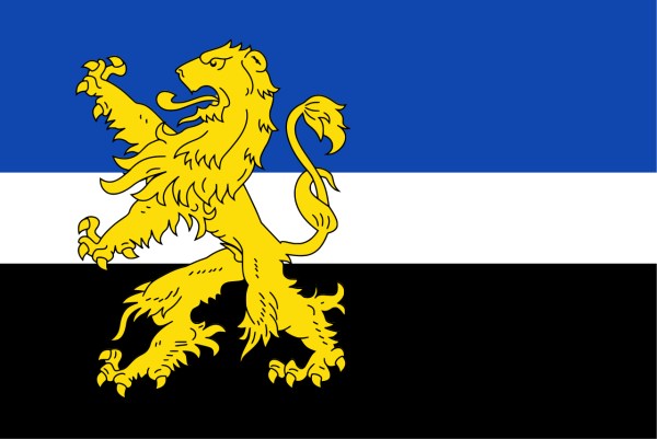 Vlag Hilvarenbeek 70x100cm