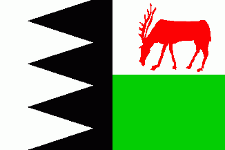 Vlag gemeente Bruinisse 30x45cm Bruinisser vlaggen vlaggetje