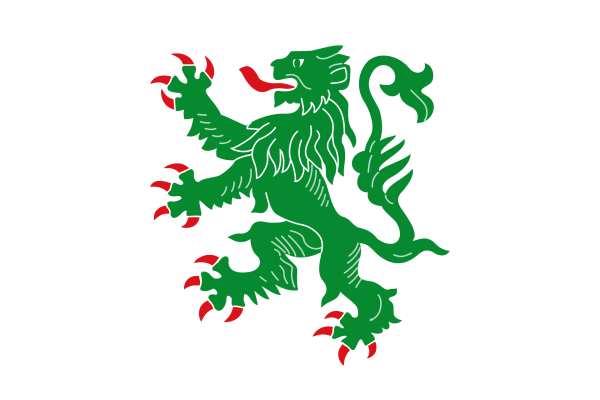 Vlag Hamoir 120x180cm