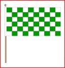 Zwaaivlag 30x45cm op houten stok lengte 60cm groen/wit geblokt