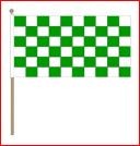 Zwaaivlag 30x45cm op houten stok lengte 60cm groen/wit geblokt