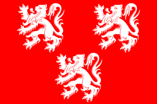 Grote vlag Gavere