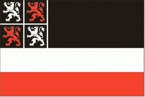 Vlag gemeente Uitgeest 50x75cm Uitgeester bootvlag