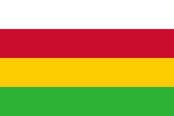 Vlag Dantumadiel 70x100cm