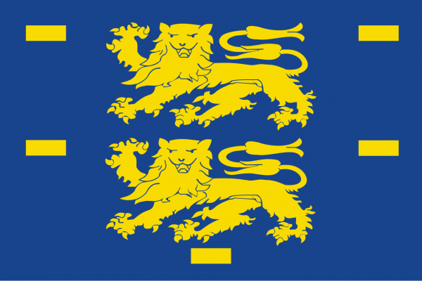 Vlag West-Friesland 120x180cm