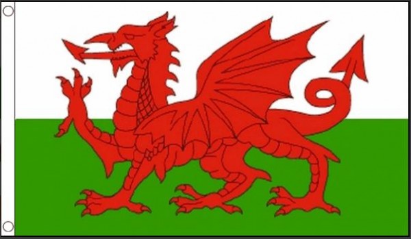 wales vlag welsh best value 90x150cm