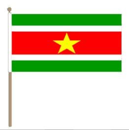 Grote zwaaivlag Suriname 30x45cm, stoklengte 60cm