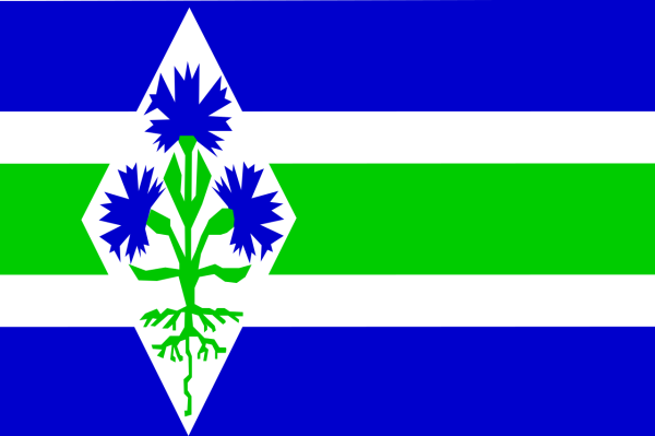 Vlag Blaricum 70x100cm