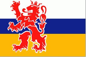 Vlag Limburg 40x60cm