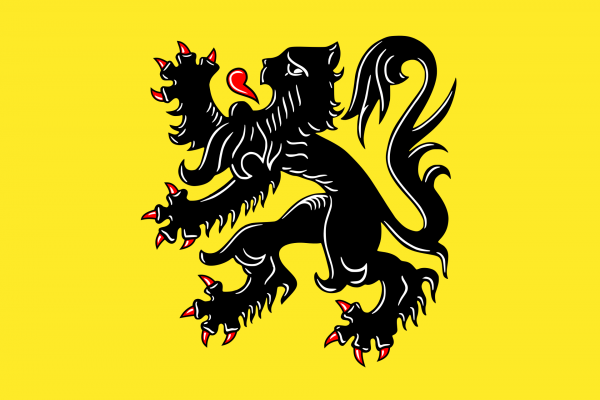 Grote vlag Vlaams Gewest
