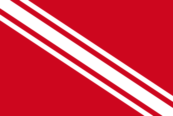 Vlag Gedinne 120x180cm
