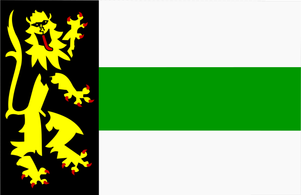 Vlag Druten 70x100cm