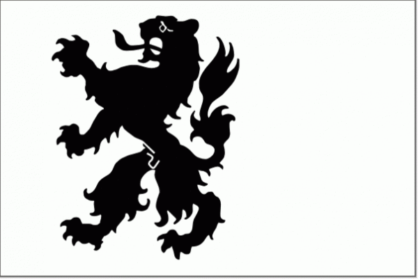 Vlag gemeente Noordwijk | Noordwijkse vlaggen 30x45cm