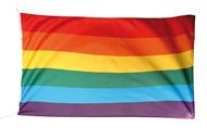Regenboog vlag Vredesvlag 60x90cm
