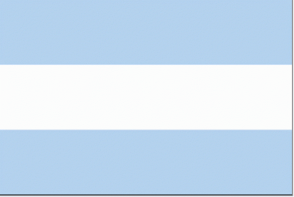 Vlag Agentinie | Argentijnse vlaggen 30x45cm