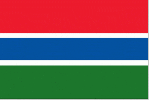vlag Gambia 30x45cm Gambiaanse vlaggen