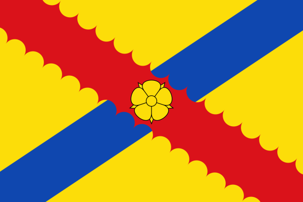 Vlag Hensies 120x180cm